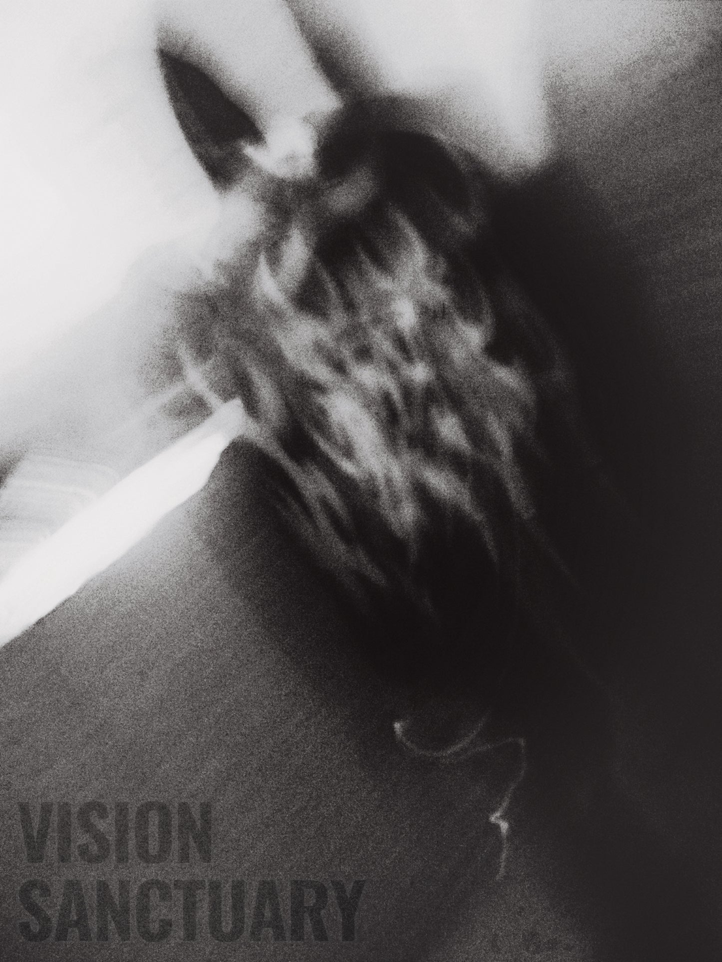 VISION SANCTUARY - ”RAINDROP“