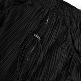 【ASPARAGUS】Pleats pocket wide pants