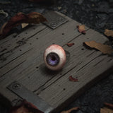 【IN VAIN】EYES OF VERITAS XVI