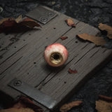【IN VAIN】EYES OF VERITAS X
