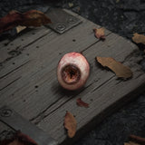 【IN VAIN】EYES OF VERITAS VII
