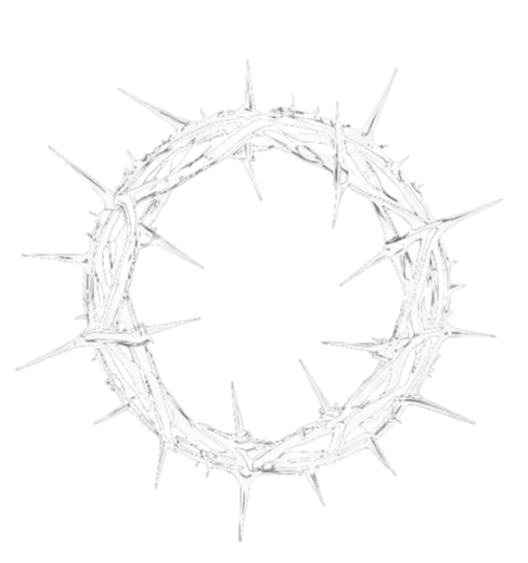 ROSEN KREUZ】BACK CROSS CROPPED SHIRT WHITE – OVERDRIVE STUDIO